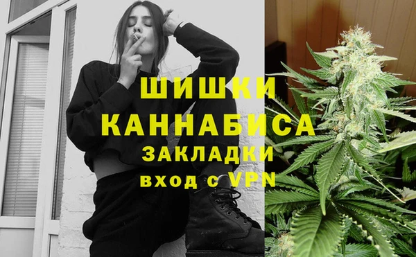 тгк Касимов