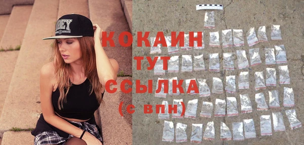 тгк Касимов