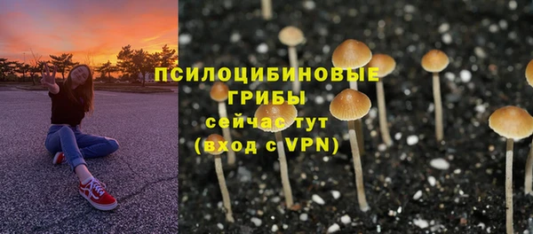 тгк Касимов