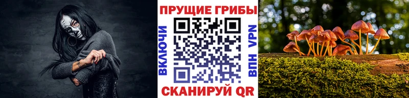 Купить где  Лысково  Галлюциногенные грибы мицелий 